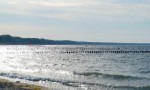 _DSC3886_pt